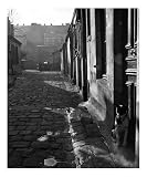255 Avenue d'Alesia, c.1946 ists Art Poster Print by Izis , 20x24