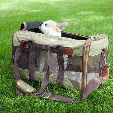 Sherpa Deluxe Pet Carrier, Olive Green - Medium