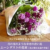 �h�L�h�L���L�I (���i�C���[�W)
