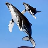 ネイチャーテクニカラー 小笠原 【1.ザトウクジラ】(単品)