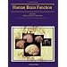 Become a nerdy Christian neurobiologist ----4th year, 2nd semester