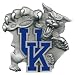 Kentucky Wildcats Hitch Cover Class - NCAA College Athletics - Fan Shop Sports Team Merchandise