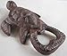 Iron Sea Turtle Bottle Opener