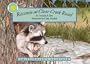 Raccoon at Clear Creek Road (Smithsonian's Backyard; Miniature Edition)