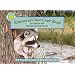 Raccoon at Clear Creek Road (Smithsonian's Backyard; Miniature Edition)