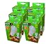 Philips 16 Watt Ambience B.C Energy Saver Lamp [6 Pack]
