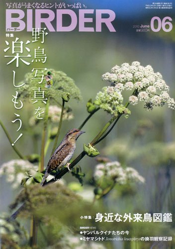 BIRDER (バーダー) 2010年 06月号 [雑誌]