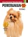History Of Dog Pomeranian In England 510m7rqgpwL. SL75 History Of Dog Pomeranian In England