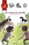 Cheval et Compagnie, Tome 3 : Un cheval en cavale (cheval, poney, sauvage, fr�re)