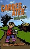 Carreg ateb