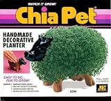 Chia Cow