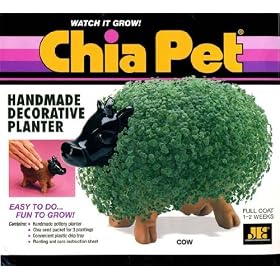 Chia Cow