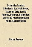 Sciurid: Tamias Sibiricus, Cureuil Roux, Cureuil Gris, Tamia Amne, Sciurus, Sciuridae, Chien de Prairie Queue Noire, Spermophil