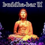 Buddha Bar IX