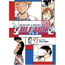 Bleach, Vol. 1 (Collector's Edition)