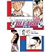 Everything Bleach