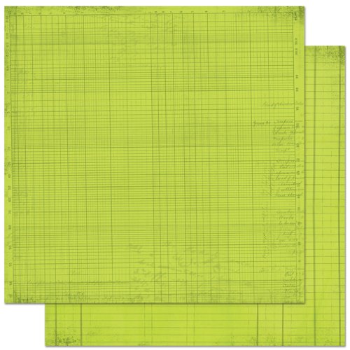 Kiwi Journal 12X12 Double Dot Designs Paper (Bo 