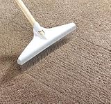 CARPET RAKE