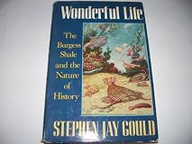 Wonderful Life