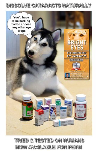 Carnosine Eye Drops For Dogs With Cataracts - Ethos Bright Eyes NAC Eye