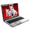 Hewlett Packard Pavilion Notebook Computer - DV9580US