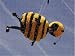 Jigsaw of BEE MOVIE CANNES from National News