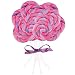 Pink and Purple Swirl Lollipop (16) Party Supplies