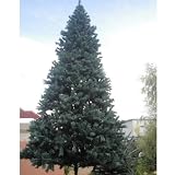 スタンドタイプ 大型 クリスマスツリー グリーン 6mの画像
