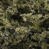 Fine Leaf Foliage, Olive Green - B000BLI6VI