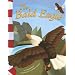 The Bald Eagle (American Symbols)