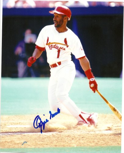 OZZIE SMITH ST LOUIS CARDINALS,CARDINALS,THE WIZARD,HALL OF FAME,HOF,SIGNED,AUTOGRAPHED 8X10,PHOTO,COA,PROOF PIC