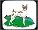 Mouse Pad with american, terrier, dog, toy, canine