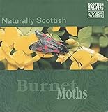 Naturally Scottish : Burnet moths