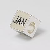 January - Month of January - Pandora Compatible Charm