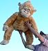 Search : GIANT STUFFED MONKEY 40" PLUSH HUGE CHIMP CHIMPANZEE GORILLA APE JUMBO BIG STUFFED ANIMAL - COLOR: LIGHT BEIGE - AMERICAN MADE IN THE USA AMERICA