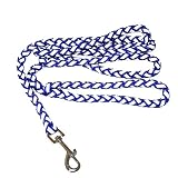 Glo 'N Go 6' Leash - Assorted Colors
