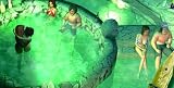 playboy the mansiondvd (pc game)