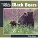 Black Bears (Our Wild World Series)