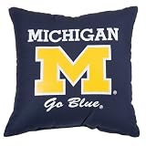 University of Michigan Floor Pillow