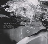 In the Limelight [12" VINYL]