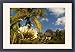 Framed Prints of Blooming flower in the garden of Beachcomber Le Paradis, near Mont Brabant, from Robert Harding