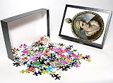 Photo Jigsaw Puzzle of Pusa2A-0007 from North Wind Picture Archives