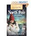 Love Finds You in North Pole, Alaska