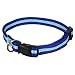 Animal Planet Quick Snap Cushy Pet Collar 3/4-in Medium (13-in to 20-in) Blue / Light Blue