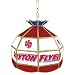 Tools & Hardware : Dayton University Glass Tiffany Hanging Lamp