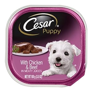 CESAR Canine Cuisine with Chicken and Liver Dog Food Trays 3.5 Ounces (Pack of 24)