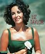 Liz Taylor: Bilder eines Lebens. Mit einem biografischen Essay von Alexandre Thiltges