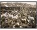 Photographic Print of PAPUA NEW GUINEA from Mary Evans