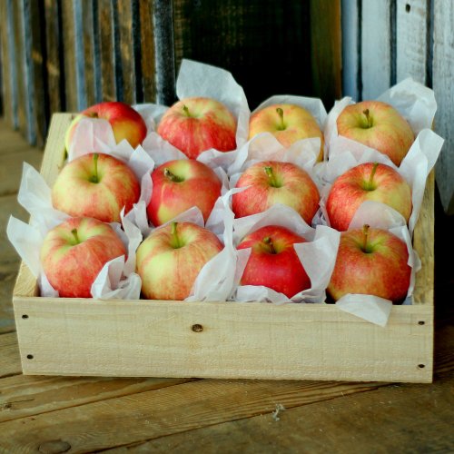 6lb Washington Gala Apple Crate