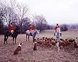 Fox Hunt in Virginia Photograph - Beautiful 16x20-inch Photographic Print by Carol M. Highsmith